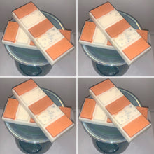 Load image into Gallery viewer, Zesty Orange Snap Bar Wax Melts